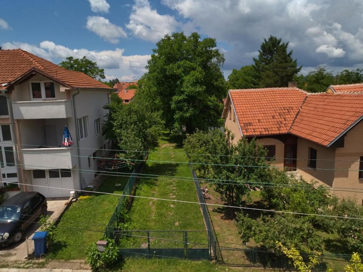 Vila Lenka Sokobanja Exterior foto
