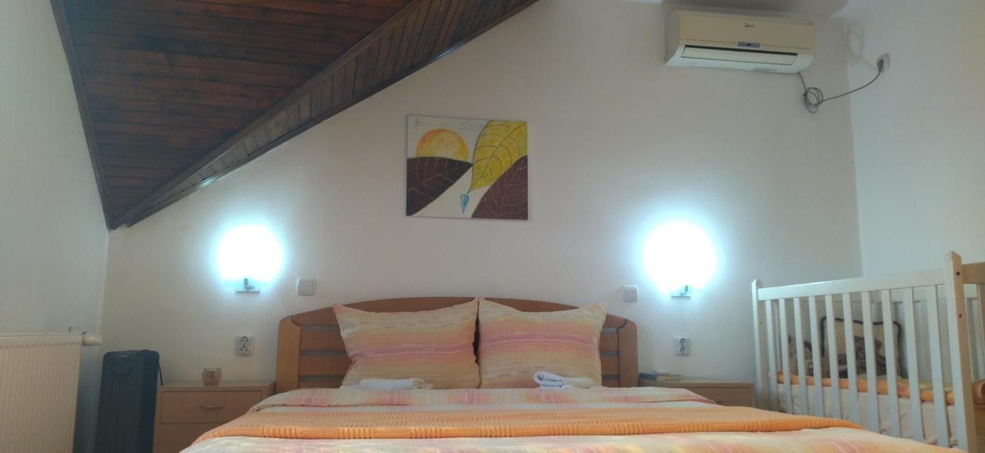 Vila Lenka Sokobanja Cameră foto