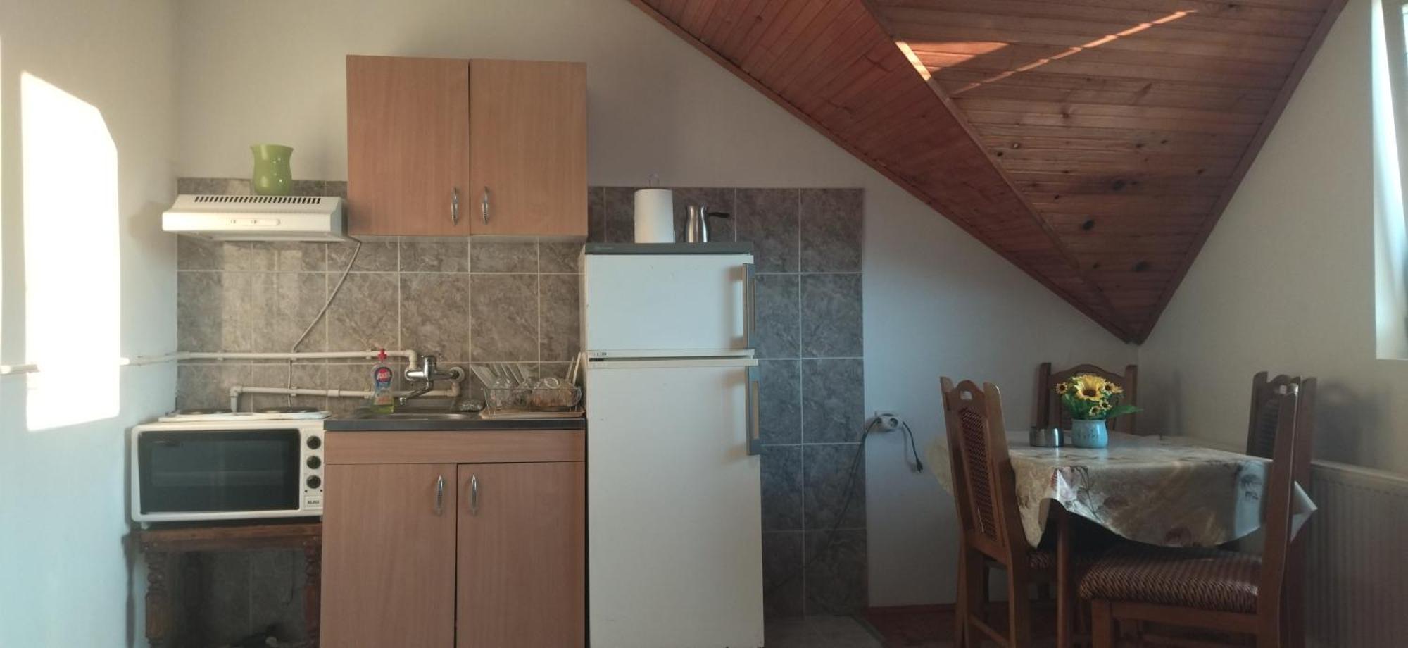 Vila Lenka Sokobanja Cameră foto