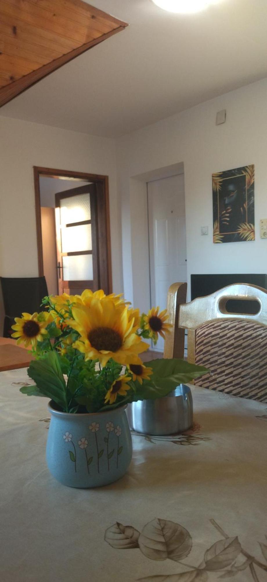 Vila Lenka Sokobanja Cameră foto