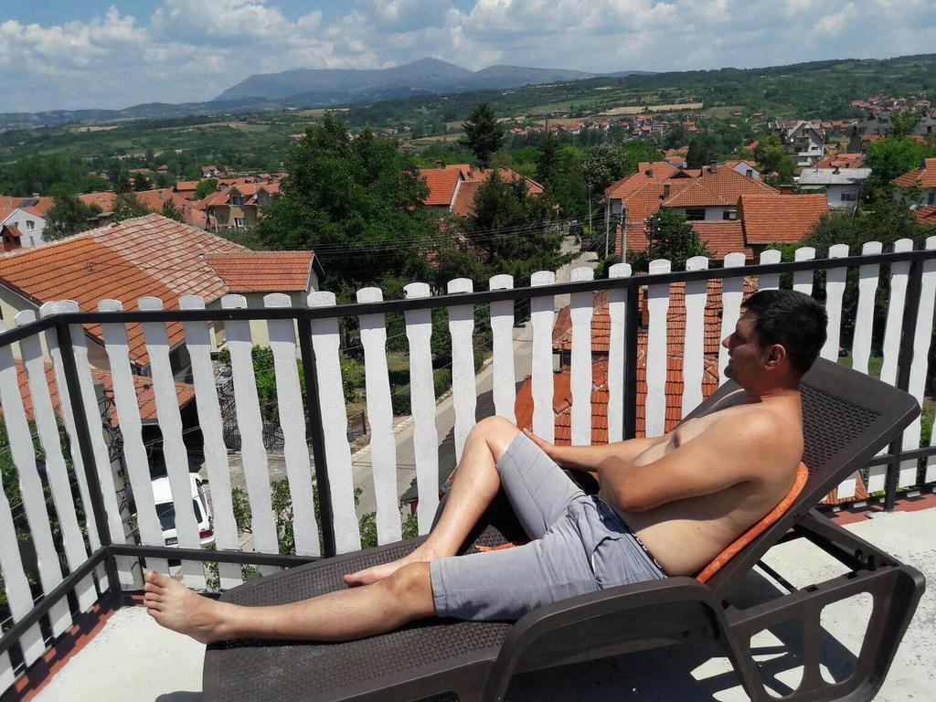 Vila Lenka Sokobanja Exterior foto